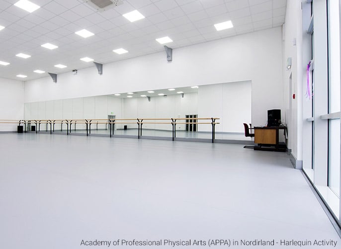 Harlequin Activity Academy of Professional Physical Arts NI